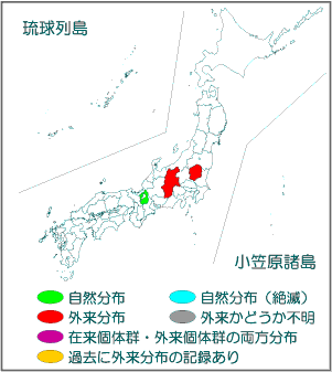 国内分布図