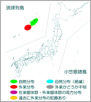 国内分布図