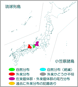 国内分布図