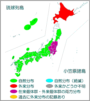 国内分布図