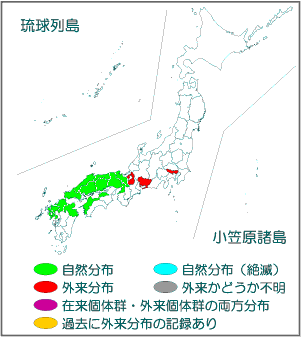 国内分布図