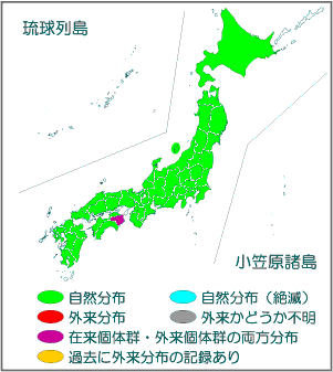 国内分布図