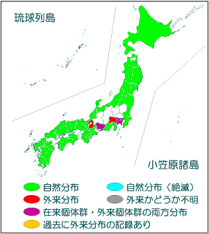 国内分布図