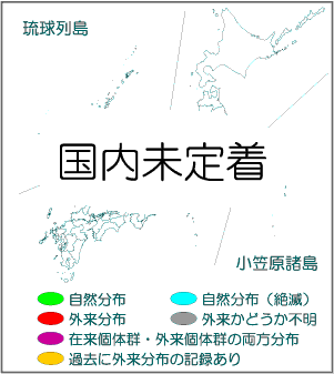 国内分布図