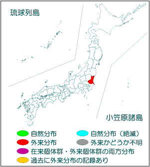 国内分布図