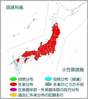 国内分布図