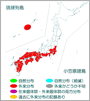 国内分布図