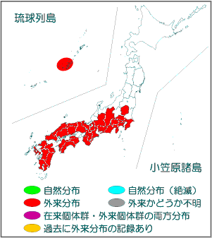 国内分布図