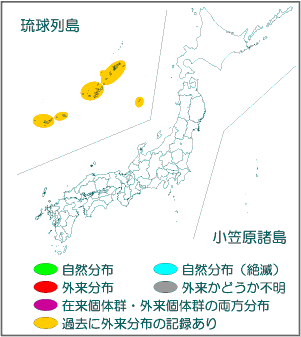 国内分布図