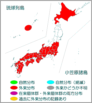 国内分布図