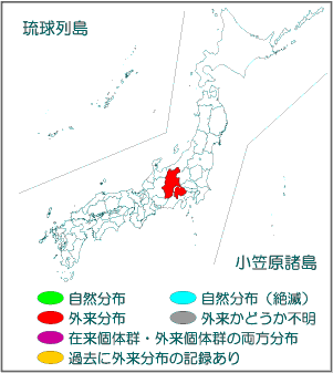 国内分布図