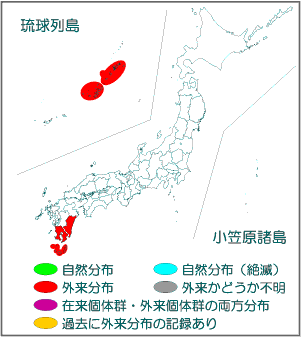 国内分布図