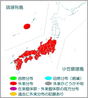 国内分布図