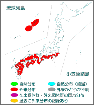 国内分布図