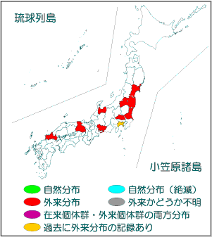 国内分布図