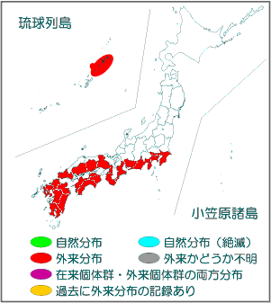 国内分布図