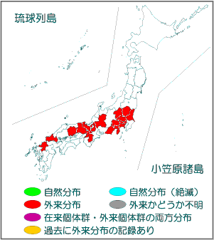 国内分布図