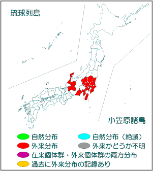 国内分布図