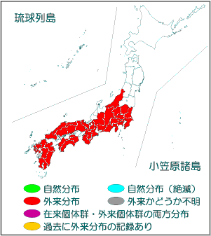 国内分布図