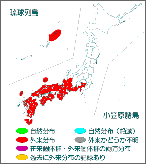 国内分布図