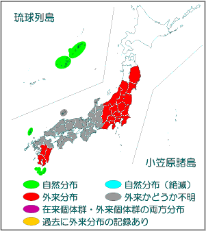 国内分布図