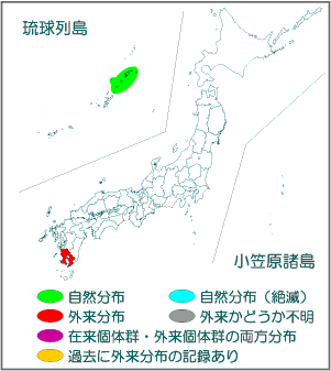 国内分布図