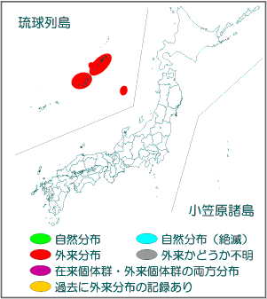 国内分布図