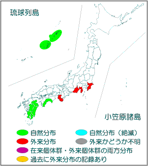 国内分布図