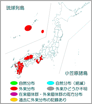 国内分布図