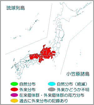 国内分布図