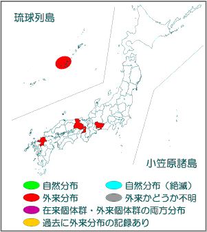 国内分布図