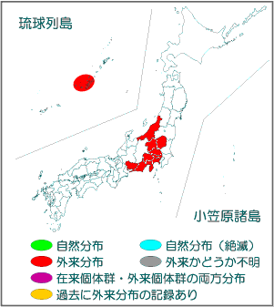 国内分布図