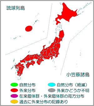 国内分布図