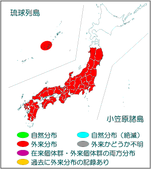 国内分布図