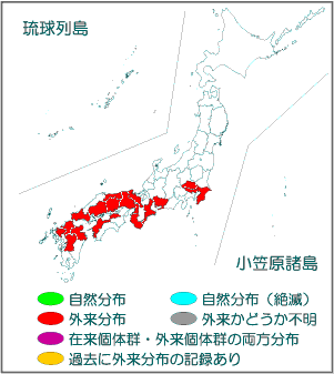 国内分布図