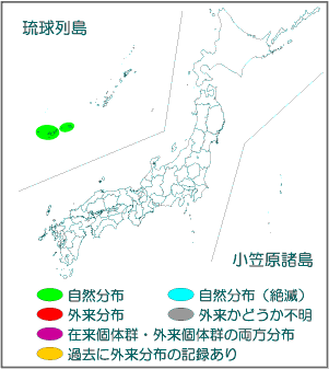 国内分布図