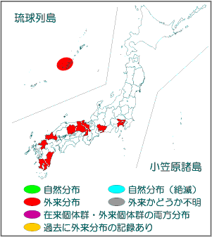 国内分布図