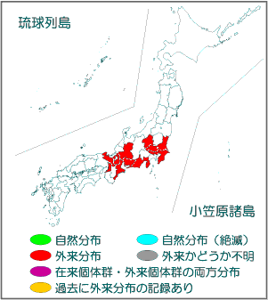 国内分布図