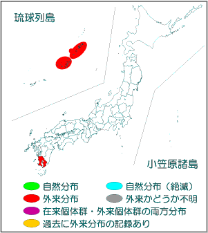 国内分布図