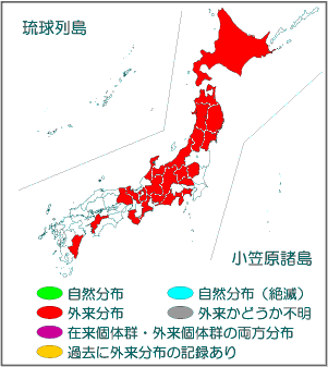 国内分布図