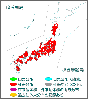 国内分布図