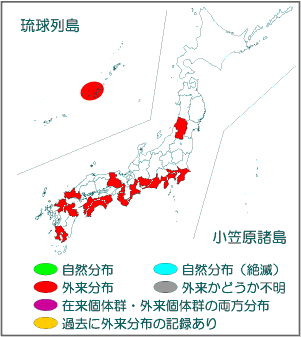 国内分布図