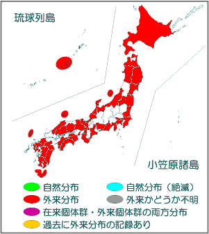 国内分布図