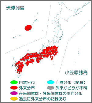 国内分布図