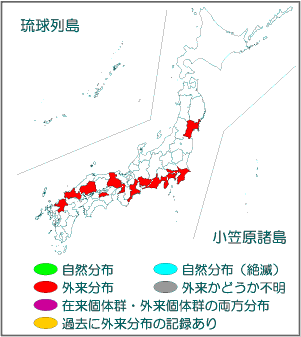 国内分布図