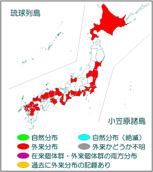 国内分布図