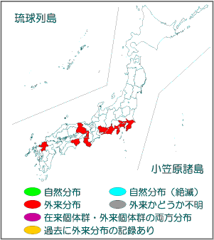 国内分布図