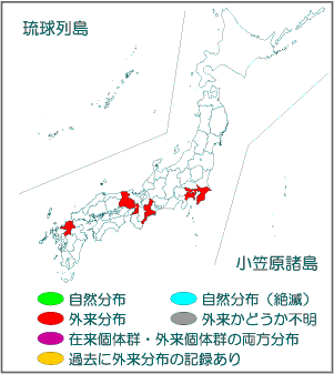 国内分布図