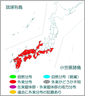 国内分布図