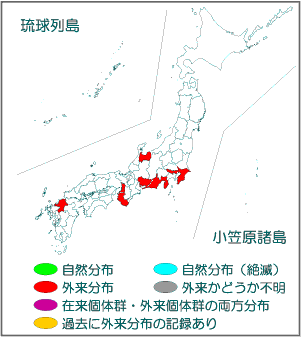 国内分布図